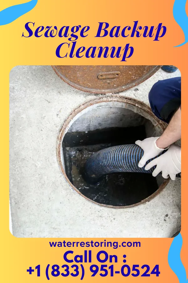Sewage Backup Cleanup in Farwell, MN